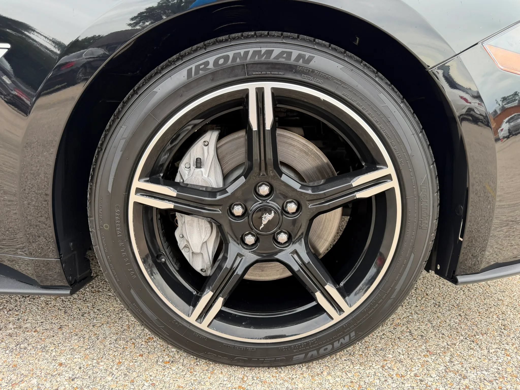 Used 2019 Ford Mustang GT Premium w/ Equipment Group 401A RWD image 14