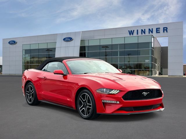 Used 2018 Ford Mustang Premium w/ Equipment Group 201A image 4