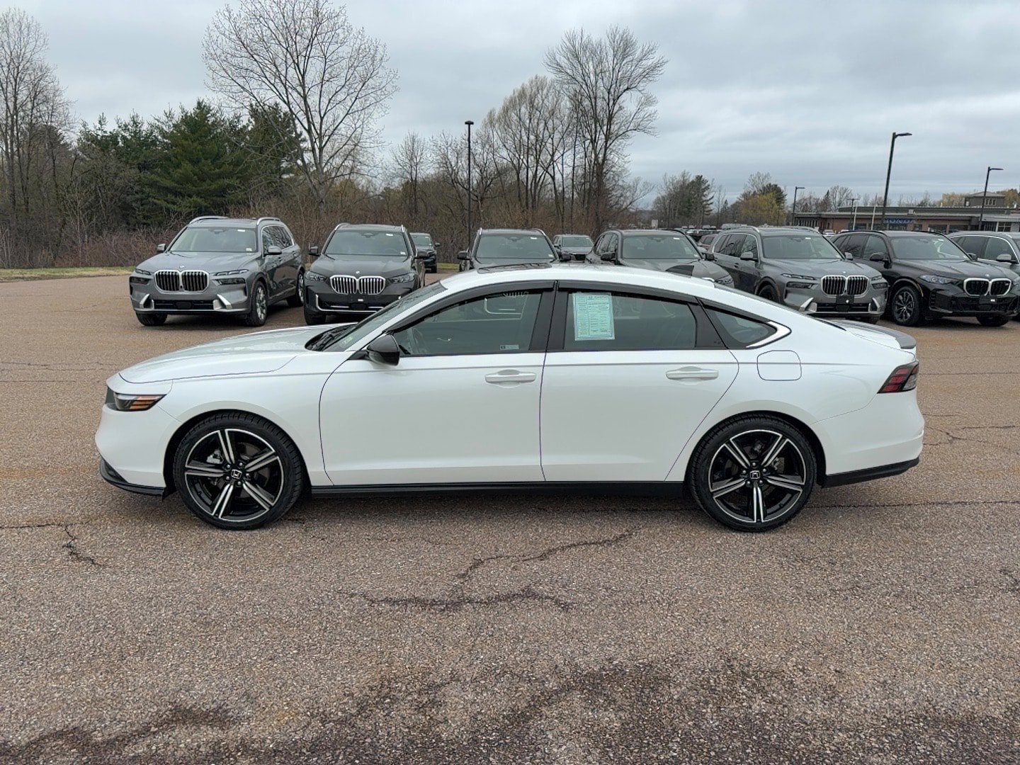 Certified 2024 Honda Accord Sport image 8