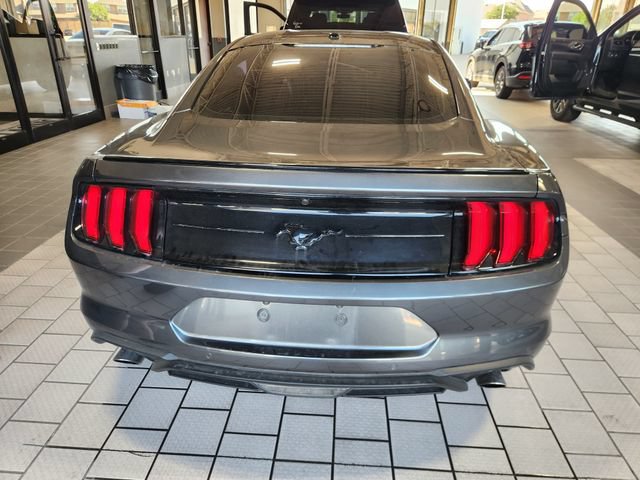 Used 2019 Ford Mustang Premium w/ Equipment Group 201A RWD image 5