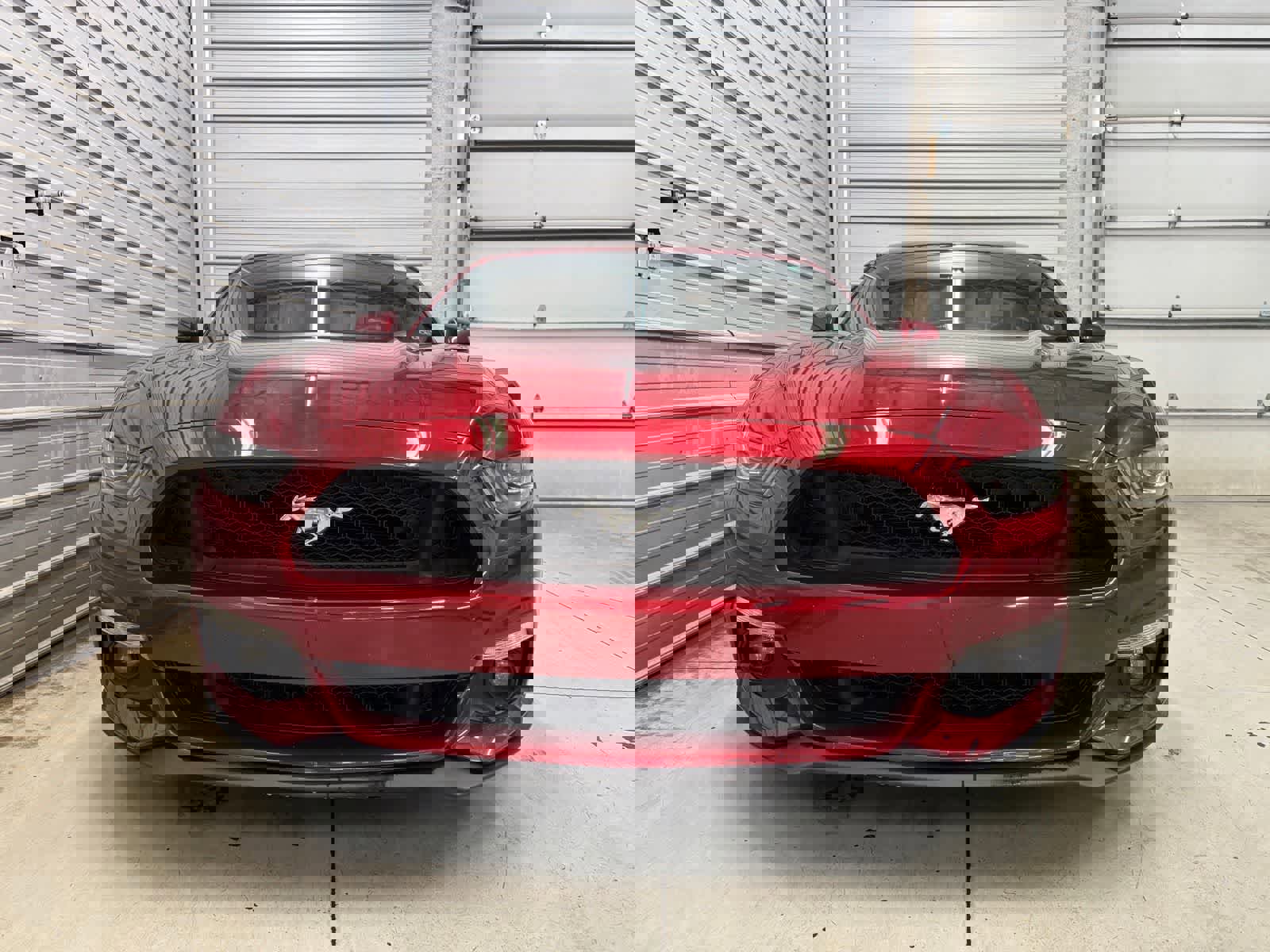 Used 2015 Ford Mustang GT Premium w/ Equipment Group 401A image 2