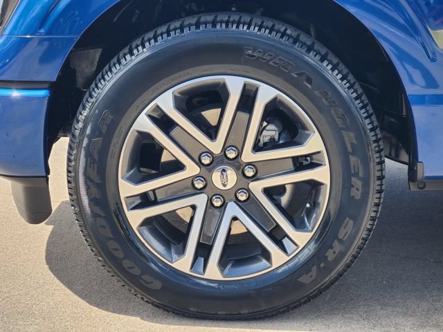Used 2023 Ford F150 XL w/ STX Appearance Package RWD image 10