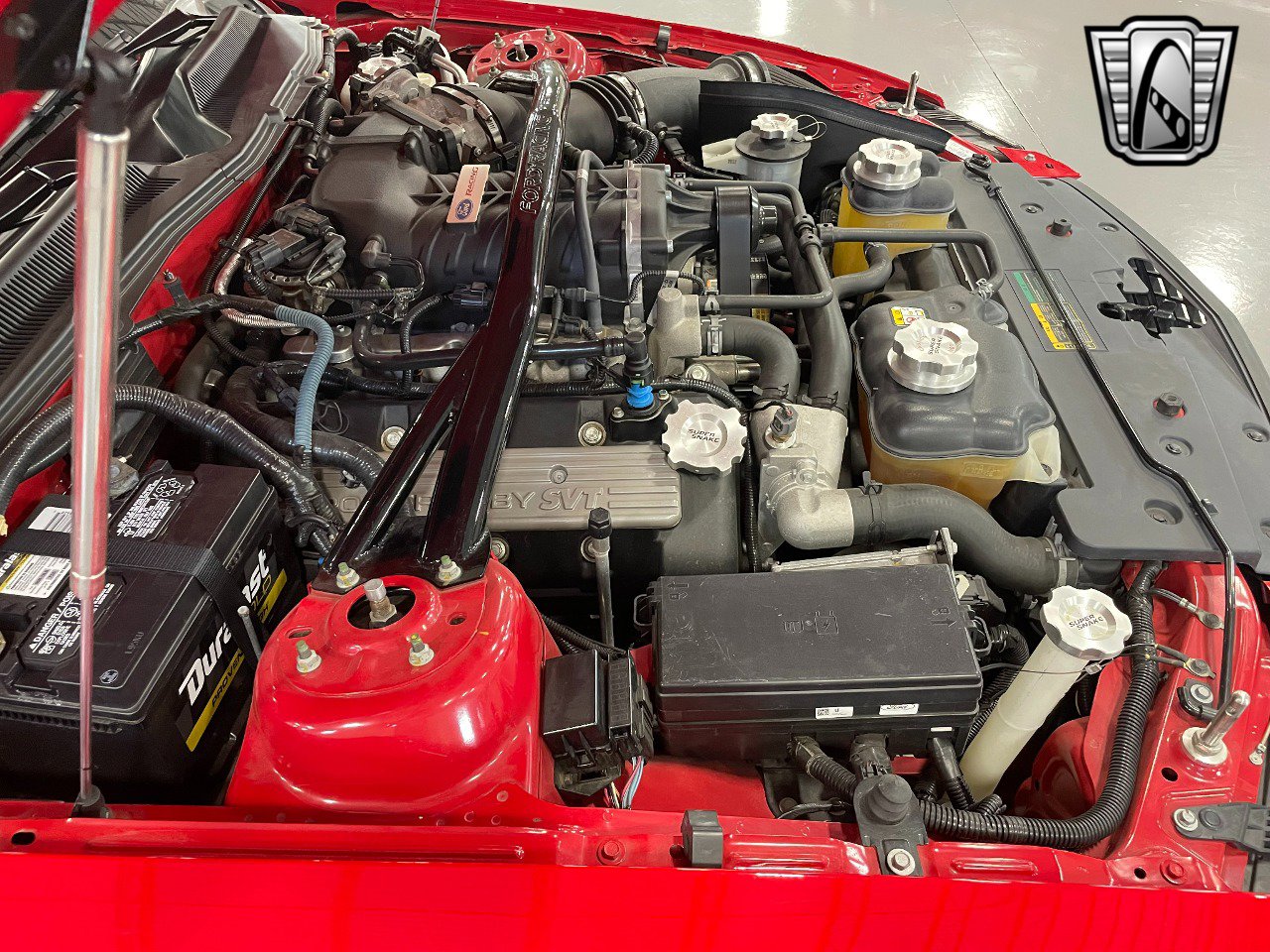 Used 2008 Ford Mustang Shelby GT500 image 10