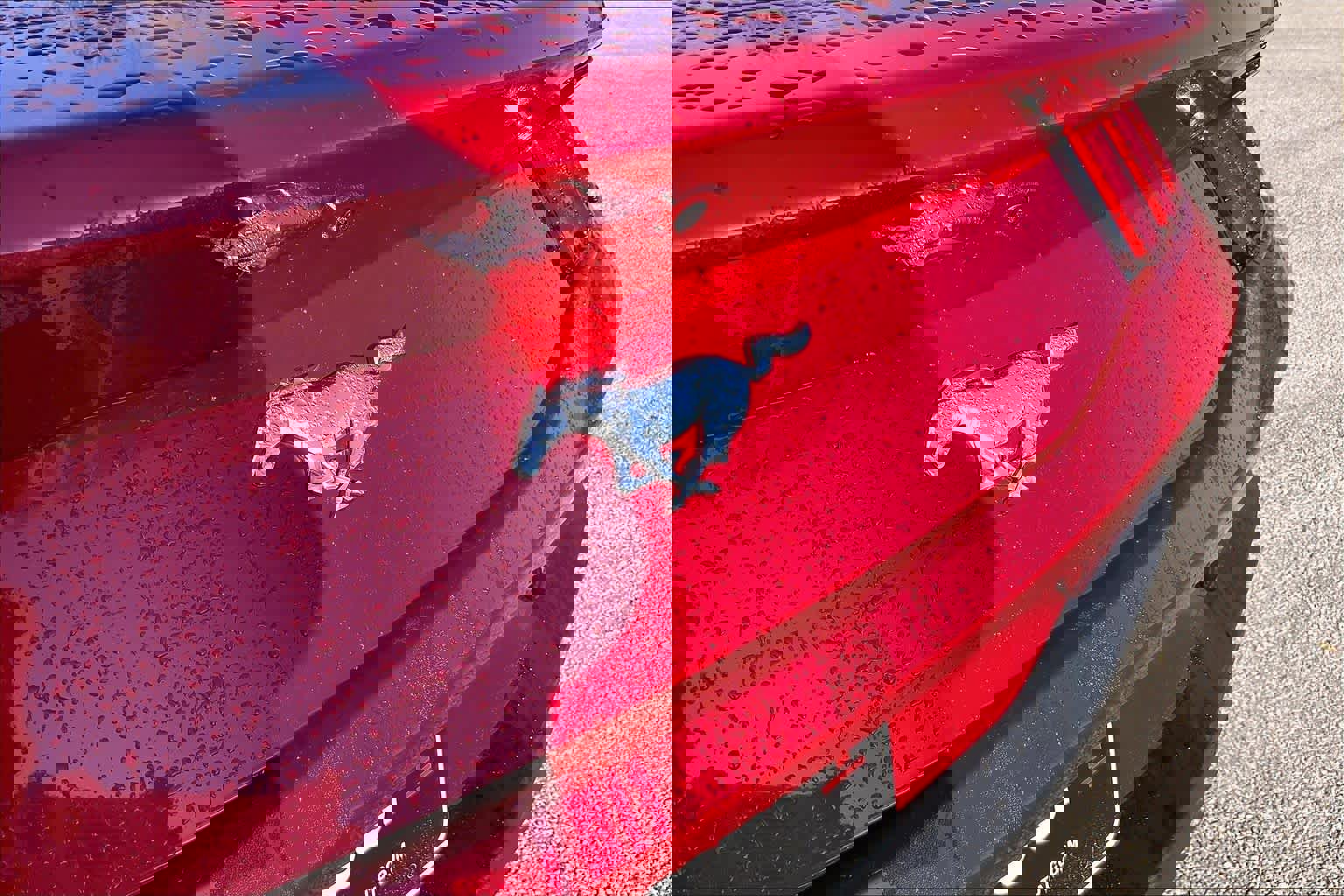 Used 2024 Ford Mustang Coupe image 26