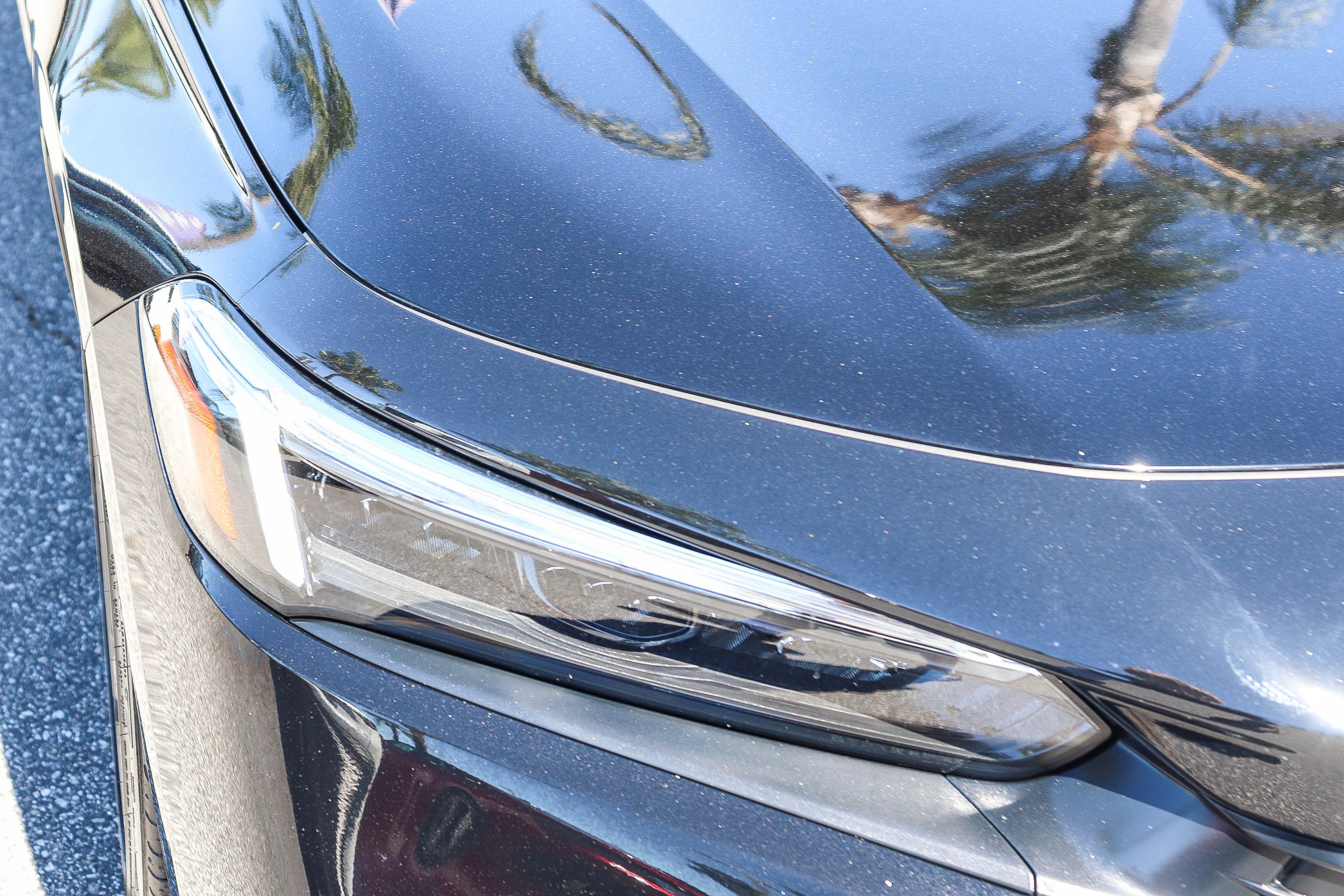 Certified 2024 Honda Civic Touring image 6