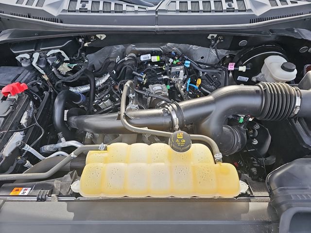 Used 2019 Ford F150 XLT w/ Equipment Group 302A Luxury image 30