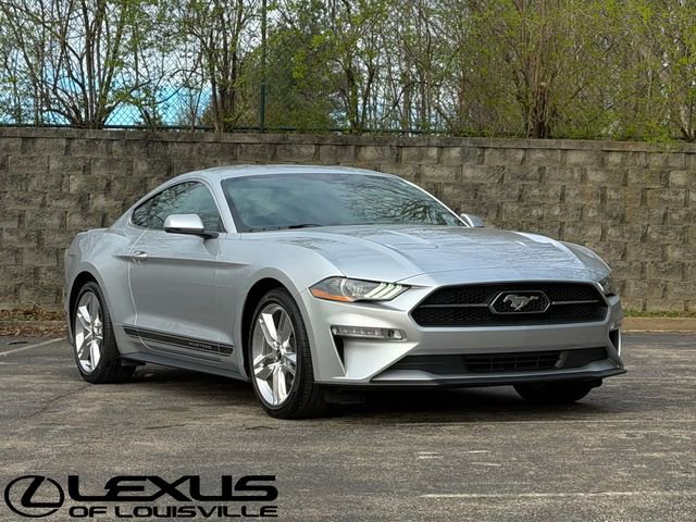 Used 2019 Ford Mustang Premium w/ Equipment Group 201A RWD image 19