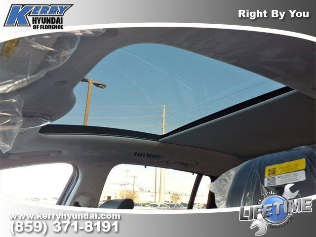 New 2026 Hyundai Ioniq 9 Calligraphy image 10