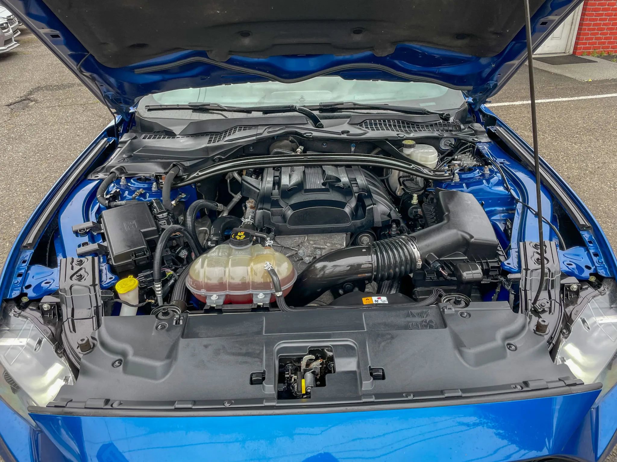 Used 2018 Ford Mustang Coupe w/ Ecoboost Performance Package image 43