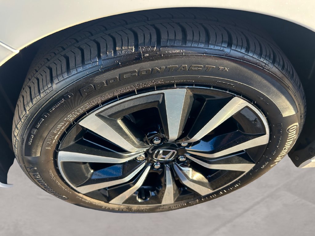Certified 2024 Honda Civic EX-L image 14