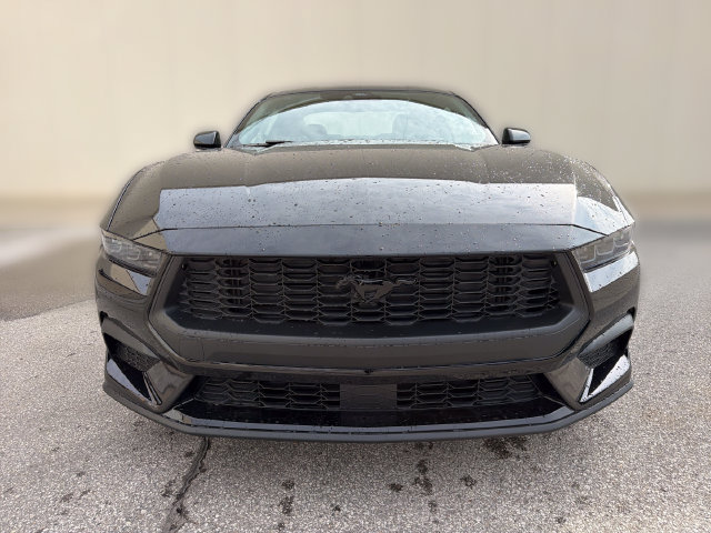 New 2026 Ford Mustang Coupe w/ Mustang Nite Pony Package RWD image 11