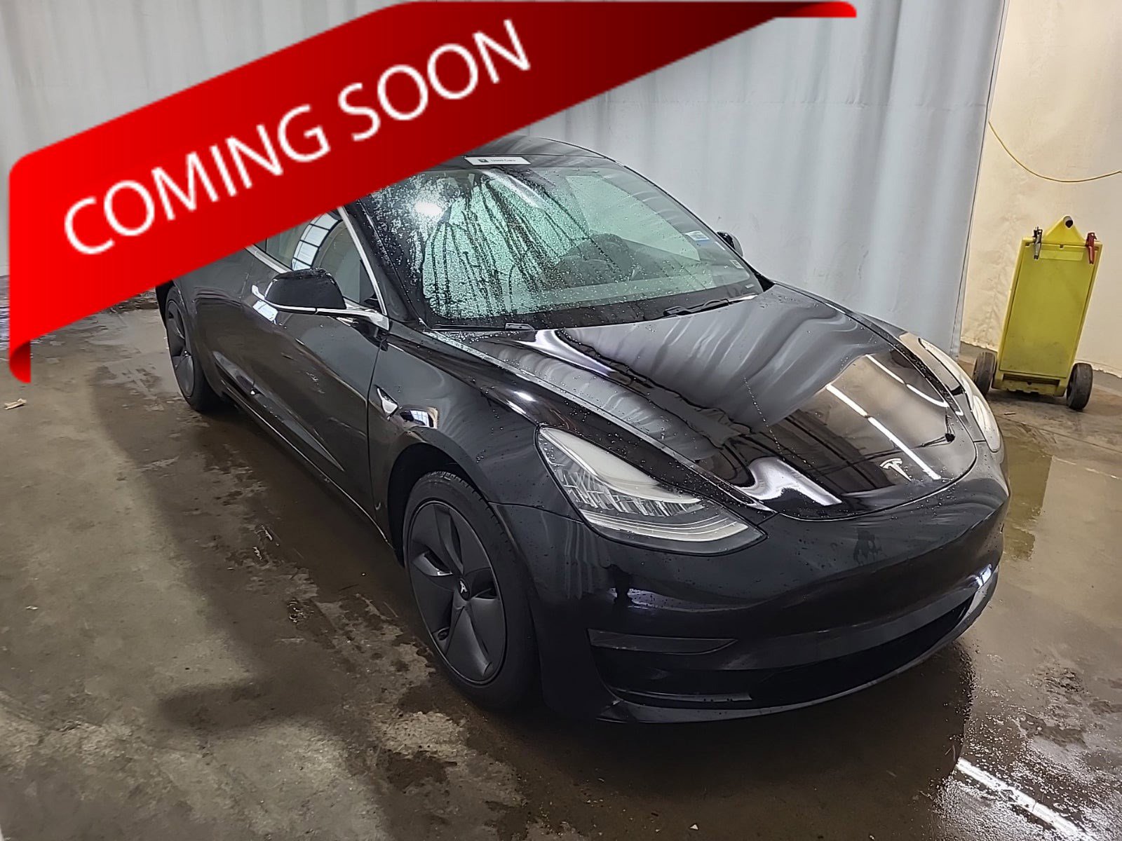 Used 2019 Tesla Model 3 Standard Range Plus