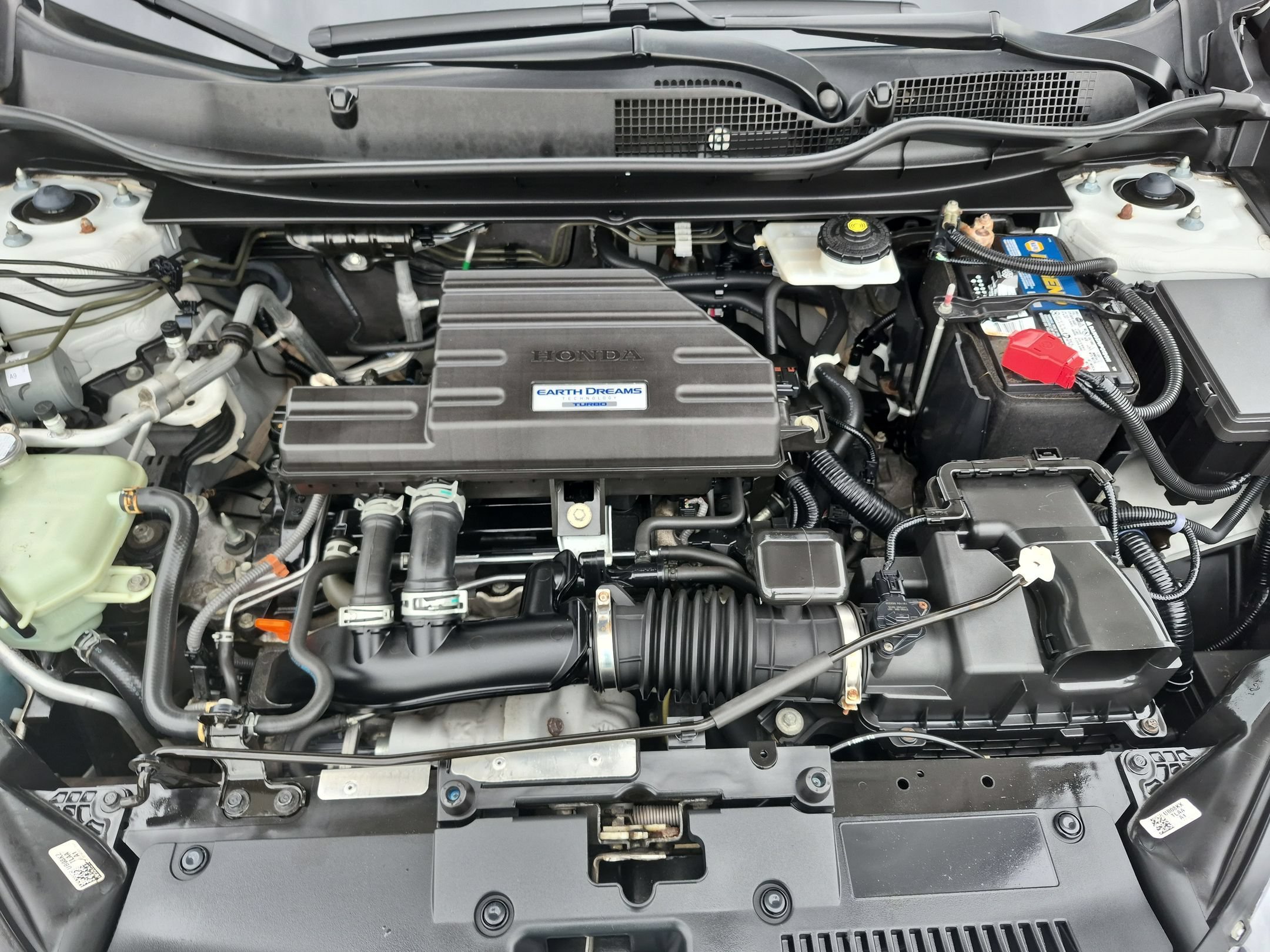 Certified 2019 Honda CR-V Touring image 35
