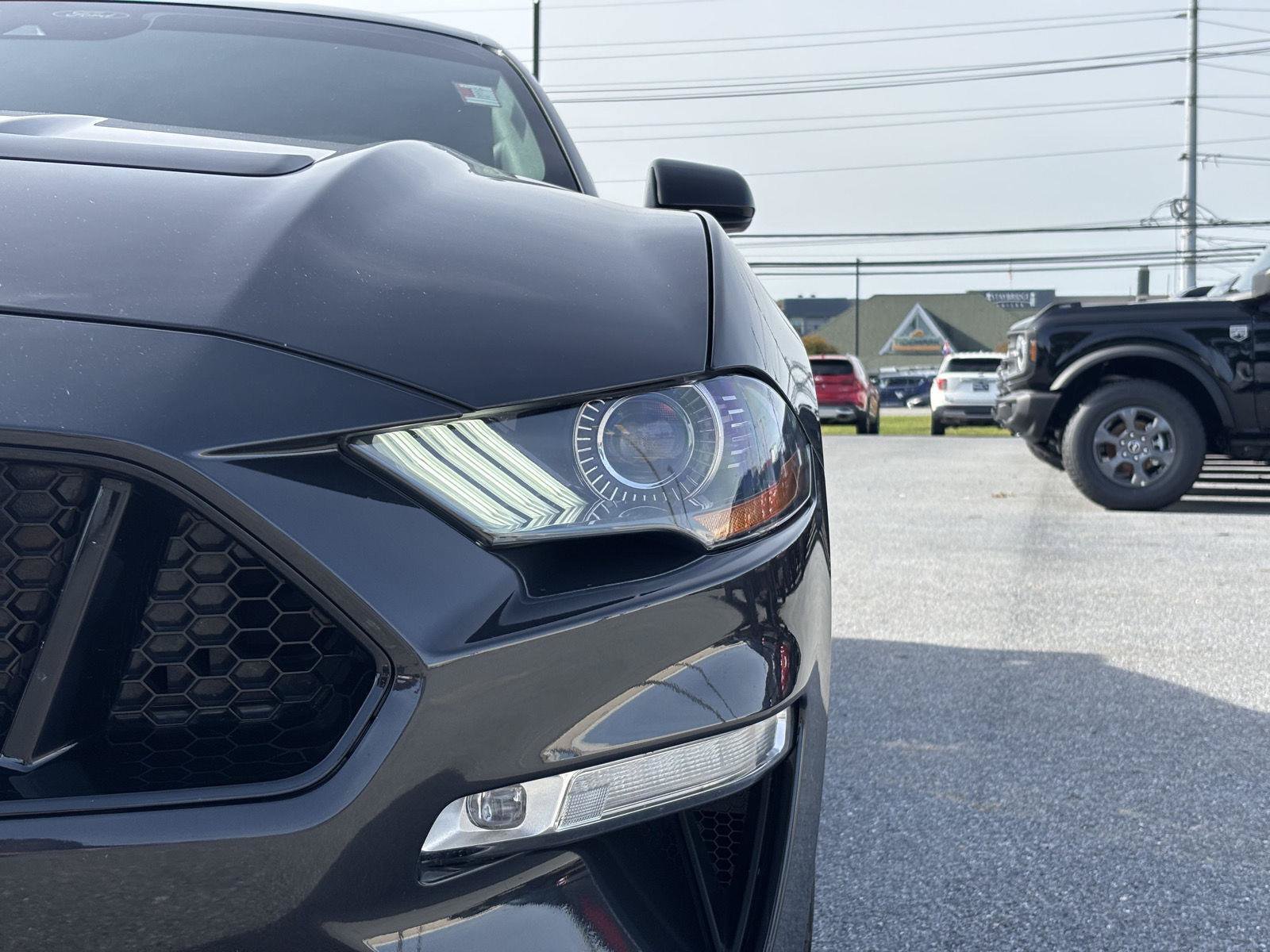 Used 2022 Ford Mustang GT w/ Equipment Group 301A RWD image 3