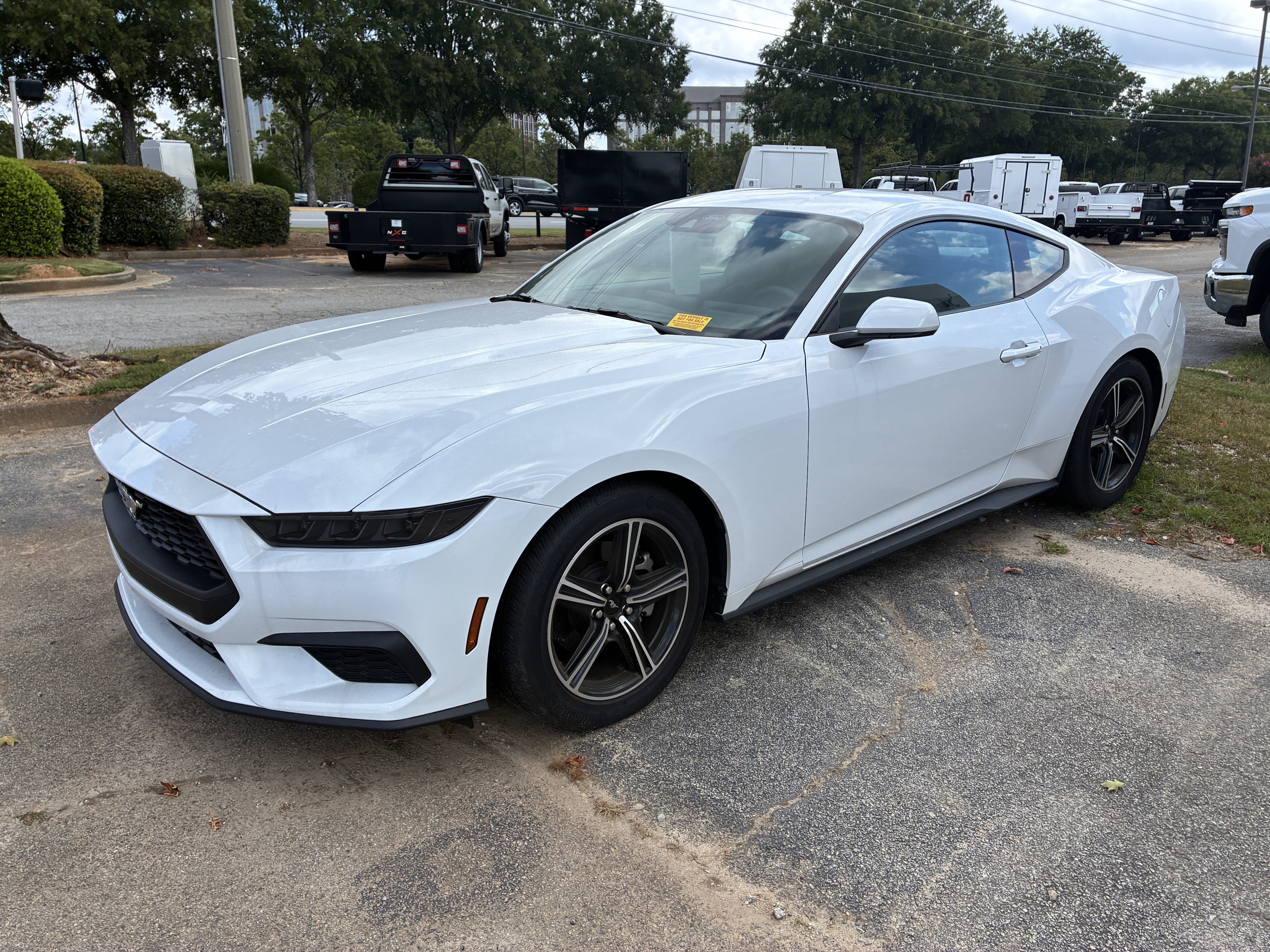 Used 2025 Ford Mustang Coupe RWD image 3
