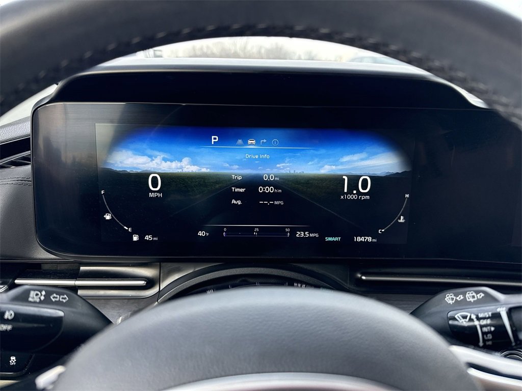 Used 2024 Kia Carnival SX image 10