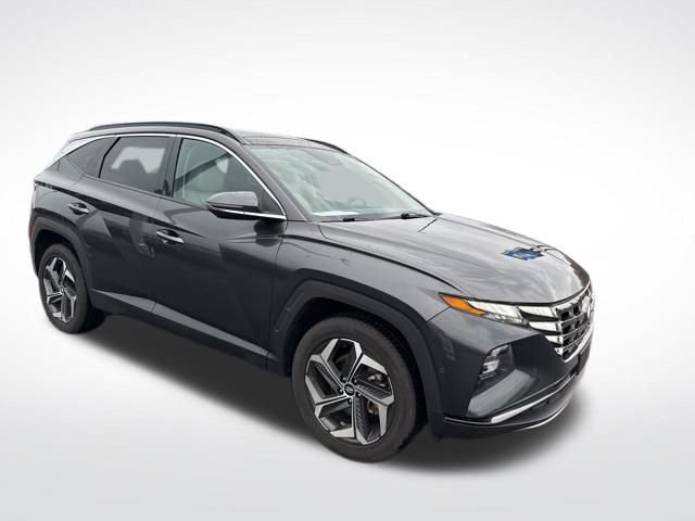 Used 2023 Hyundai Tucson Limited image 7