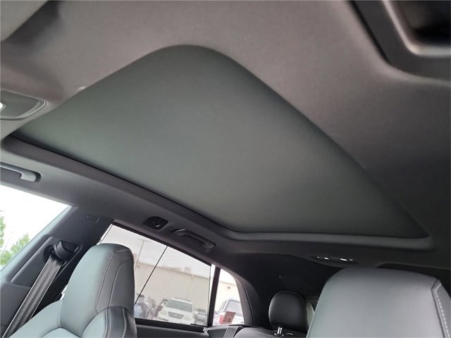 New 2026 Audi RS Q8 performance image 20