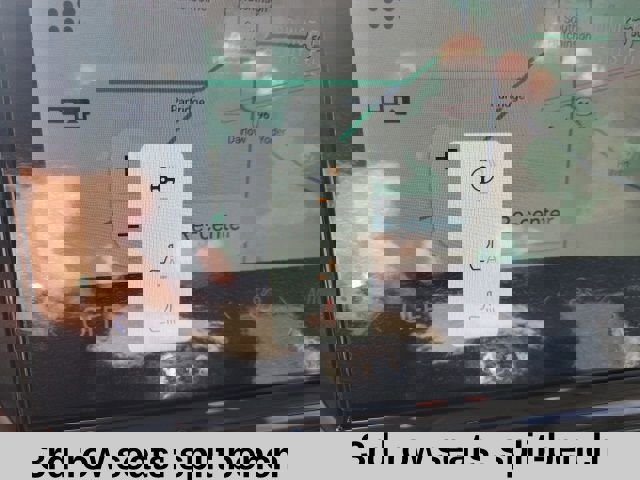 New 2025 Ford Expedition Max Active image 12