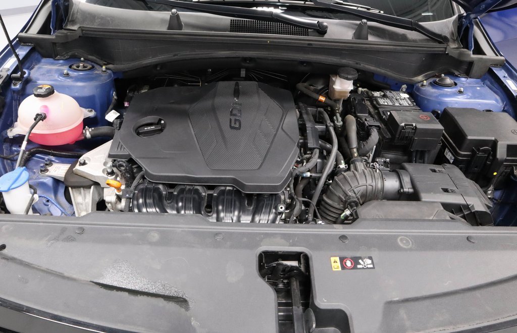 Used 2023 Kia Sportage X-Line w/ X-Line Premium Package image 13