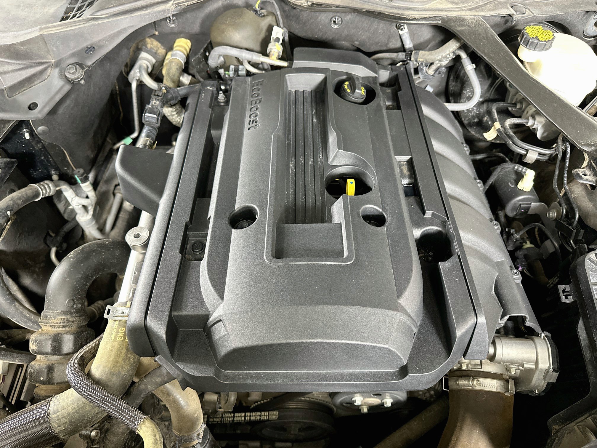 Used 2016 Ford Mustang Premium w/ Ecoboost Performance Package RWD image 28
