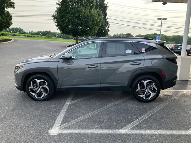 Used 2024 Hyundai Tucson Limited AWD/4WD image 6