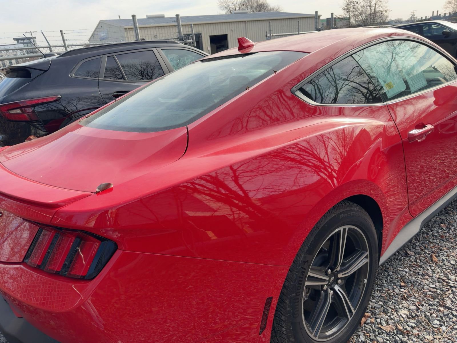 Used 2024 Ford Mustang Premium image 6