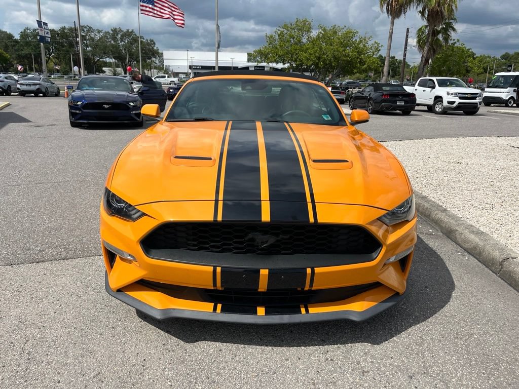 Used 2019 Ford Mustang Premium w/ Equipment Group 201A