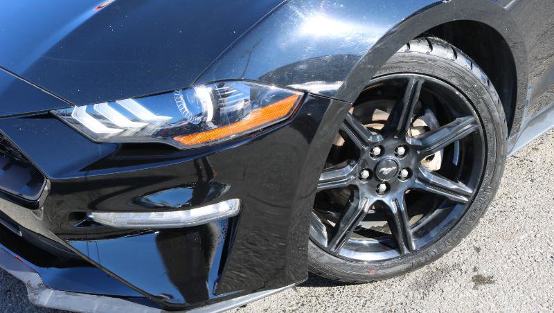 Used 2019 Ford Mustang EcoBoost Fastback w/ Black Accent Package image 4