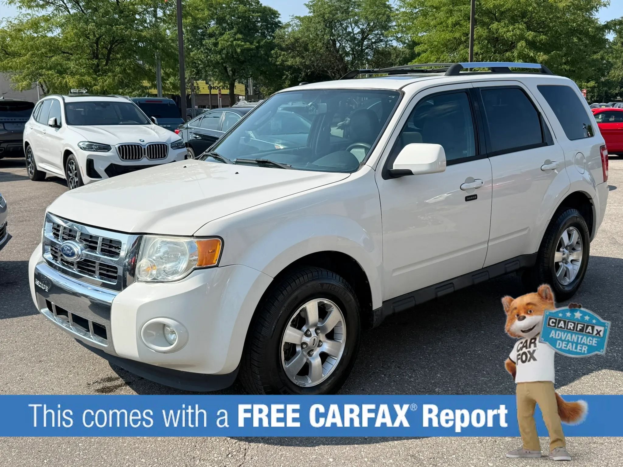 Used 2010 Ford Escape Limited