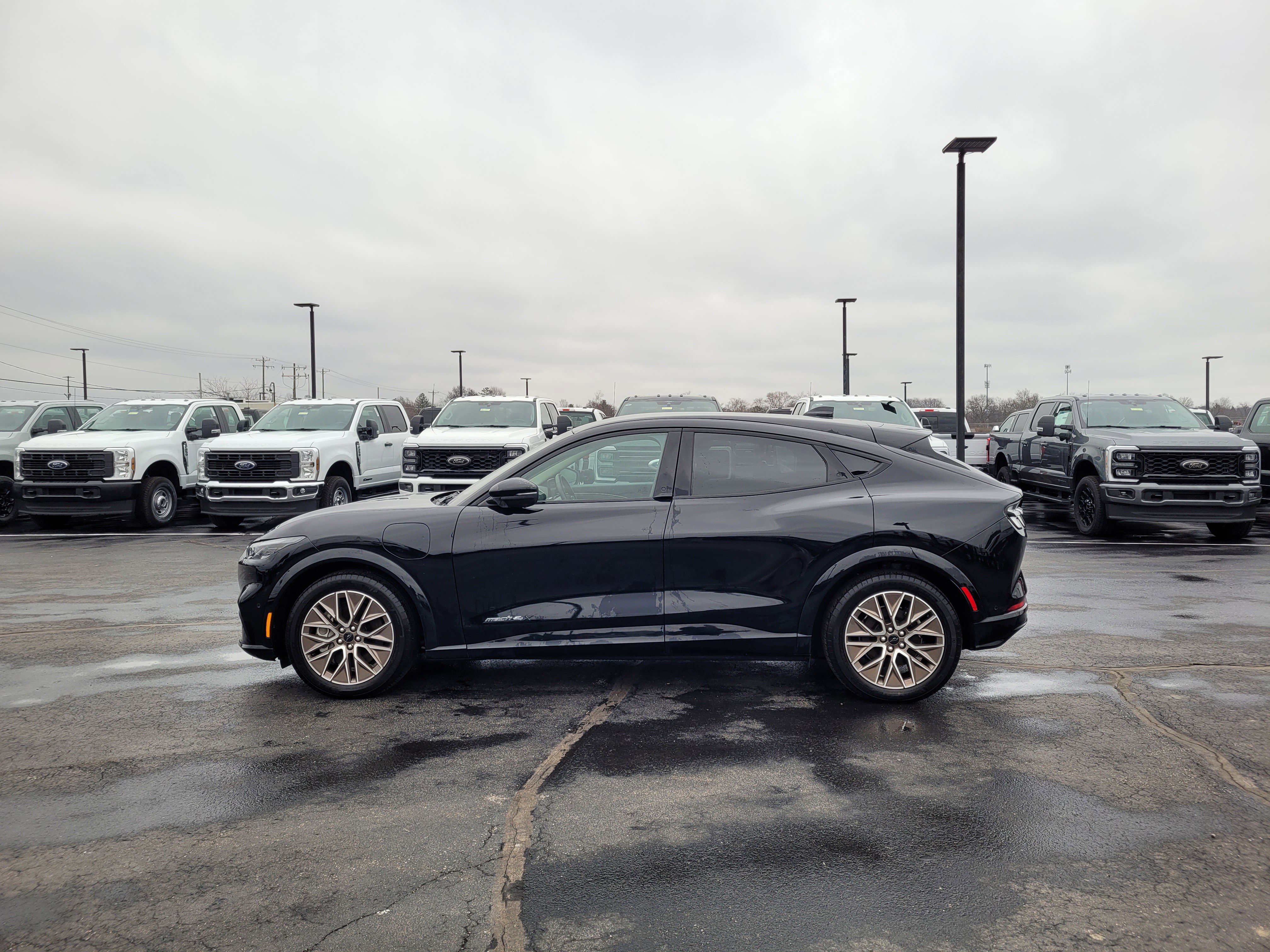 Used 2024 Ford Mustang Mach-E Premium image 7