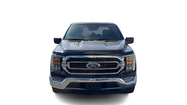 Used 2021 Ford F150 XLT w/ Equipment Group 302A High RWD image 2