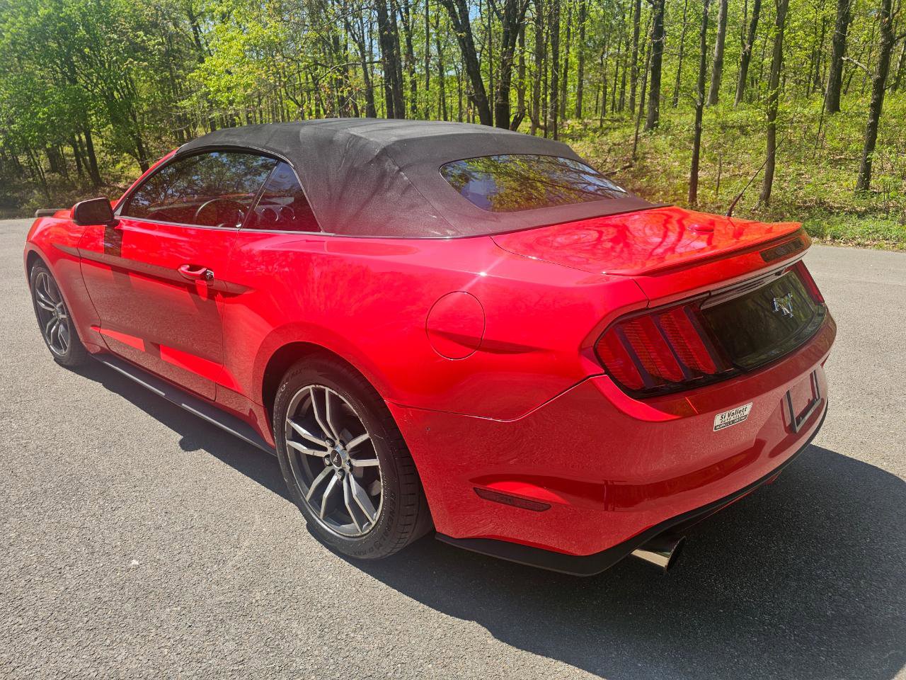 Used 2016 Ford Mustang Premium RWD image 8