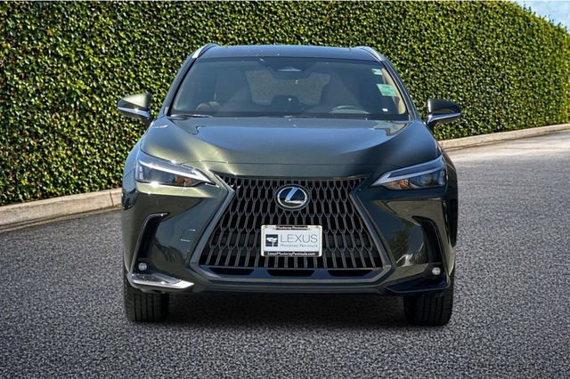 New 2026 Lexus NX 350 AWD w/ Premium Package image 3