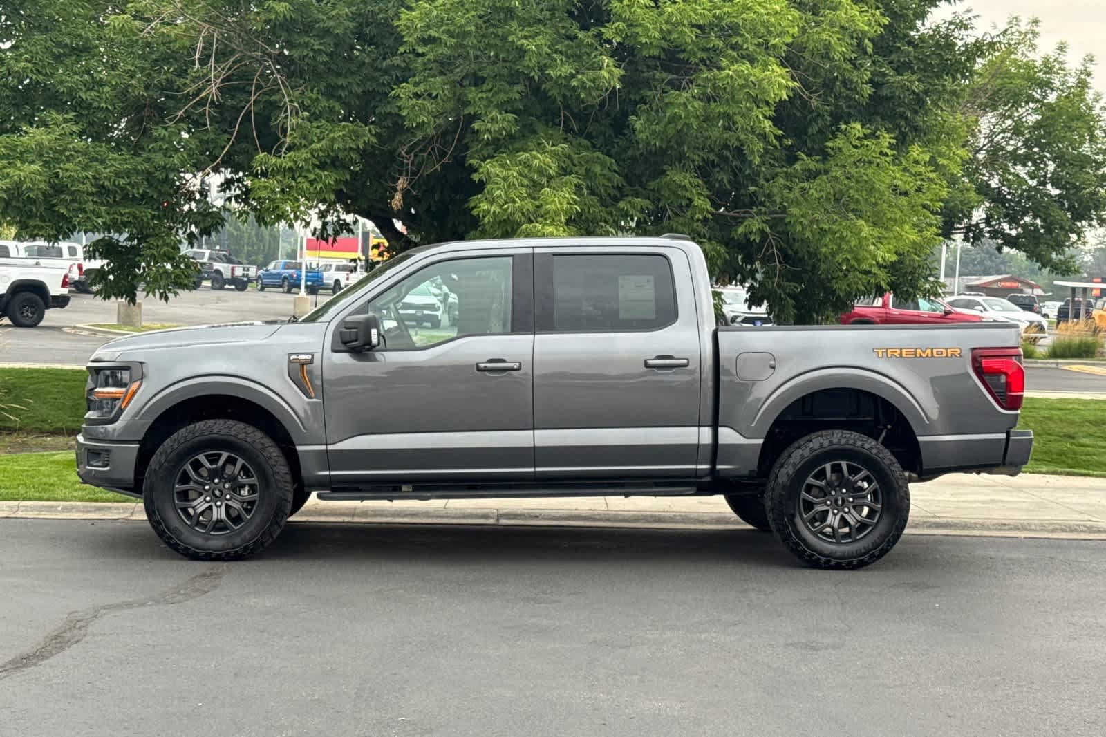 Certified 2025 Ford F150 Tremor AWD/4WD image 5