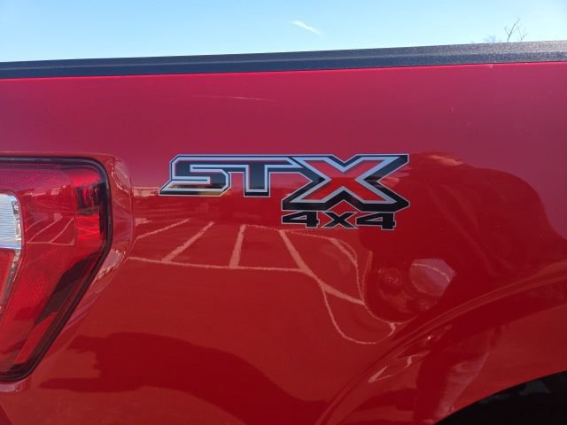 Used 2023 Ford F150 XL w/ STX Appearance Package image 6