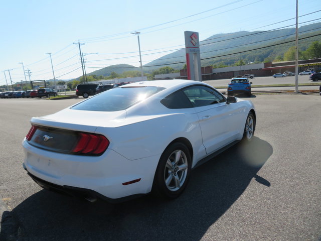 Used 2019 Ford Mustang Coupe image 3