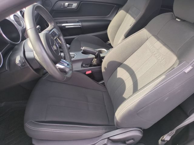 Used 2021 Ford Mustang GT w/ Equipment Group 301A RWD image 14