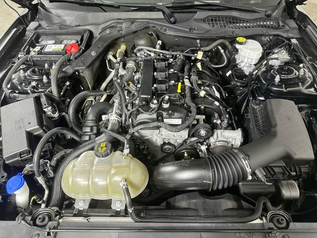 Used 2022 Ford Mustang Coupe w/ Equipment Group 101A RWD image 9