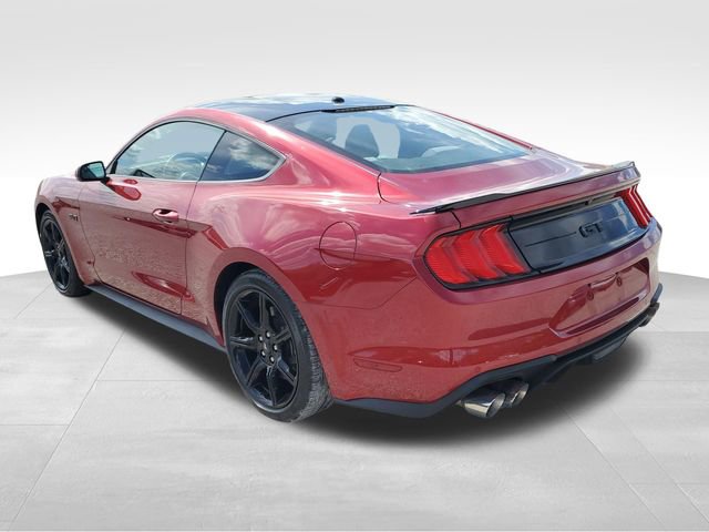 Used 2019 Ford Mustang GT w/ Equipment Group 301A image 6