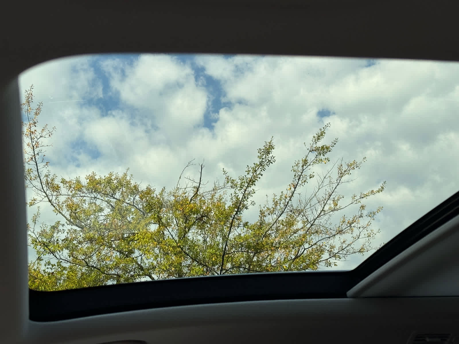 New 2026 Mercedes-Benz GLS 450 4MATIC image 28