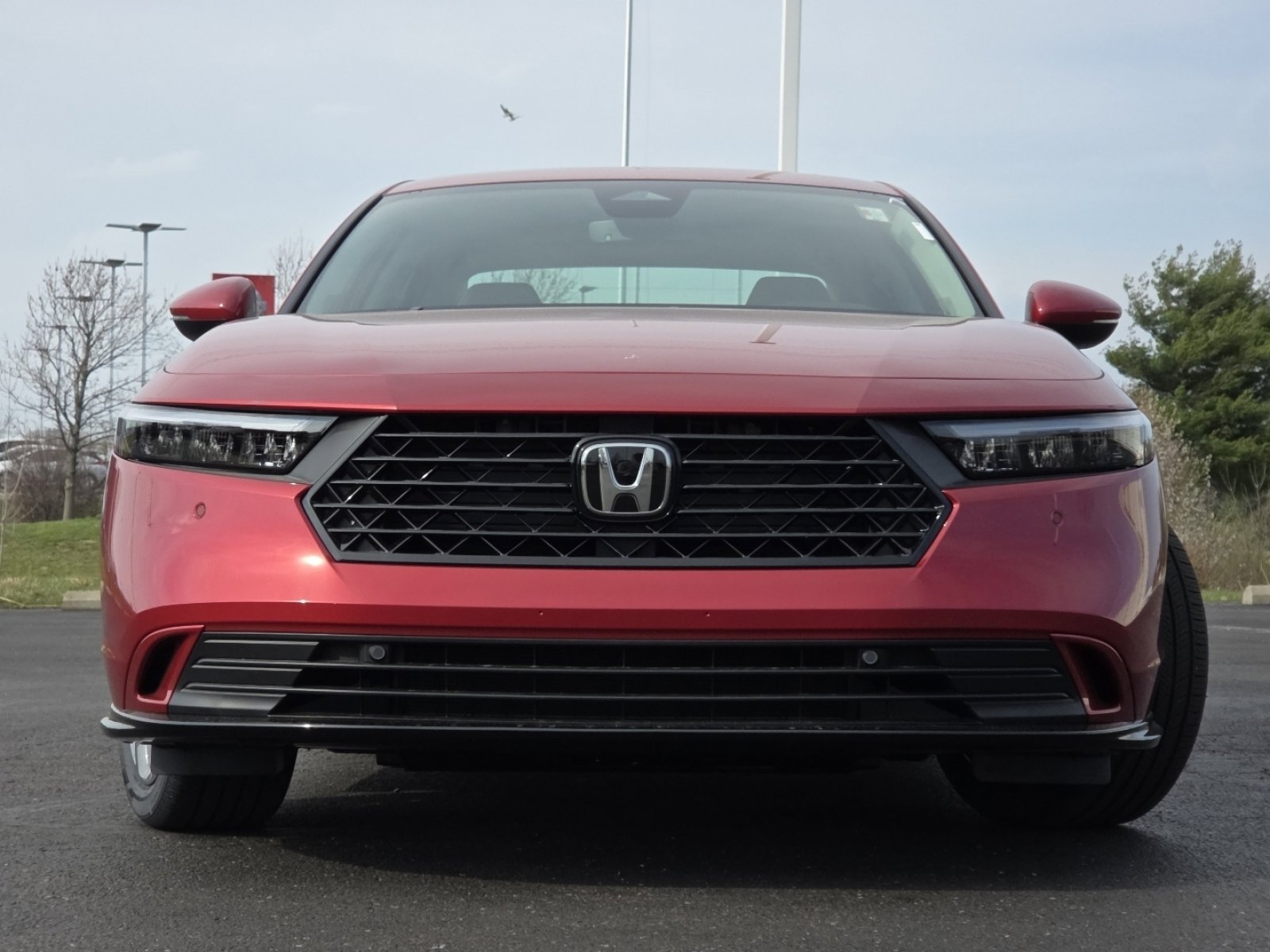 New 2026 Honda Accord EX-L image 13