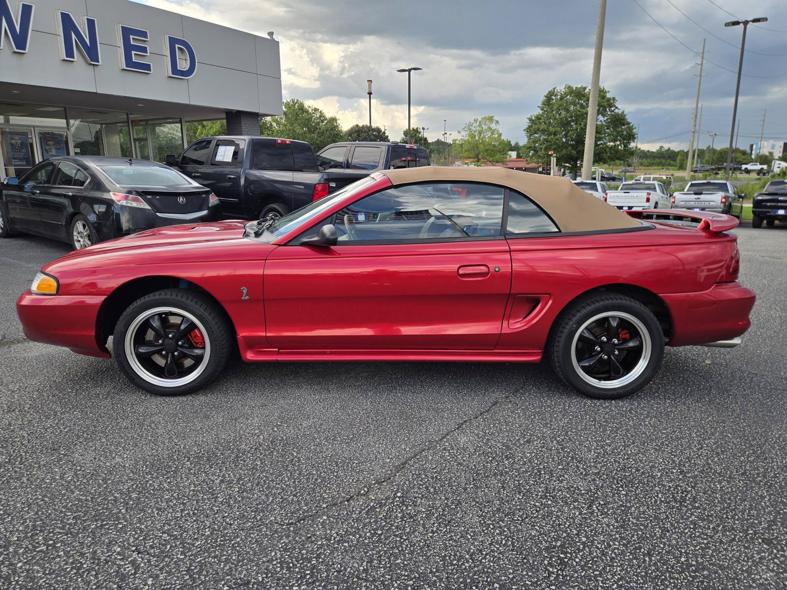 Used 1998 Ford Mustang Cobra RWD image 12