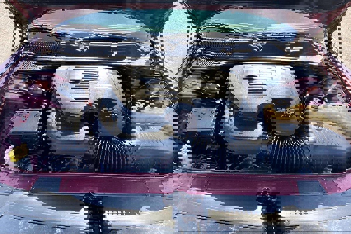 Used 2018 Dodge Challenger SXT w/ Blacktop Package image 10