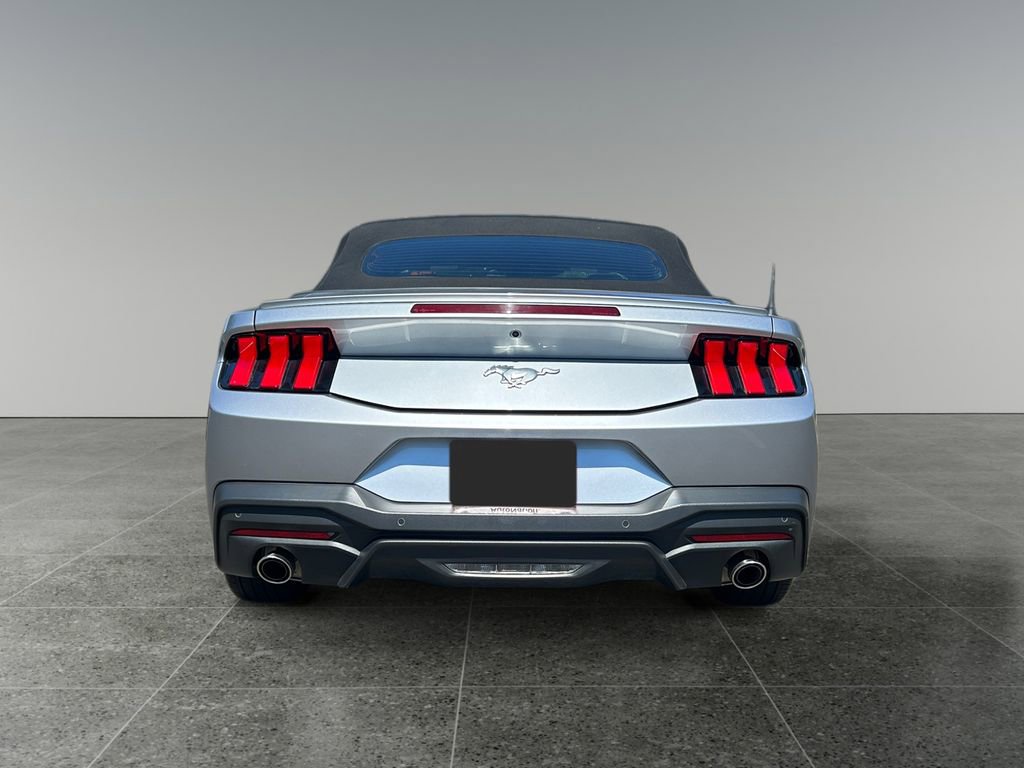 Used 2024 Ford Mustang Premium image 6