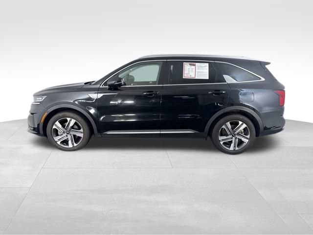 Certified 2023 Kia Sorento SX Prestige image 6