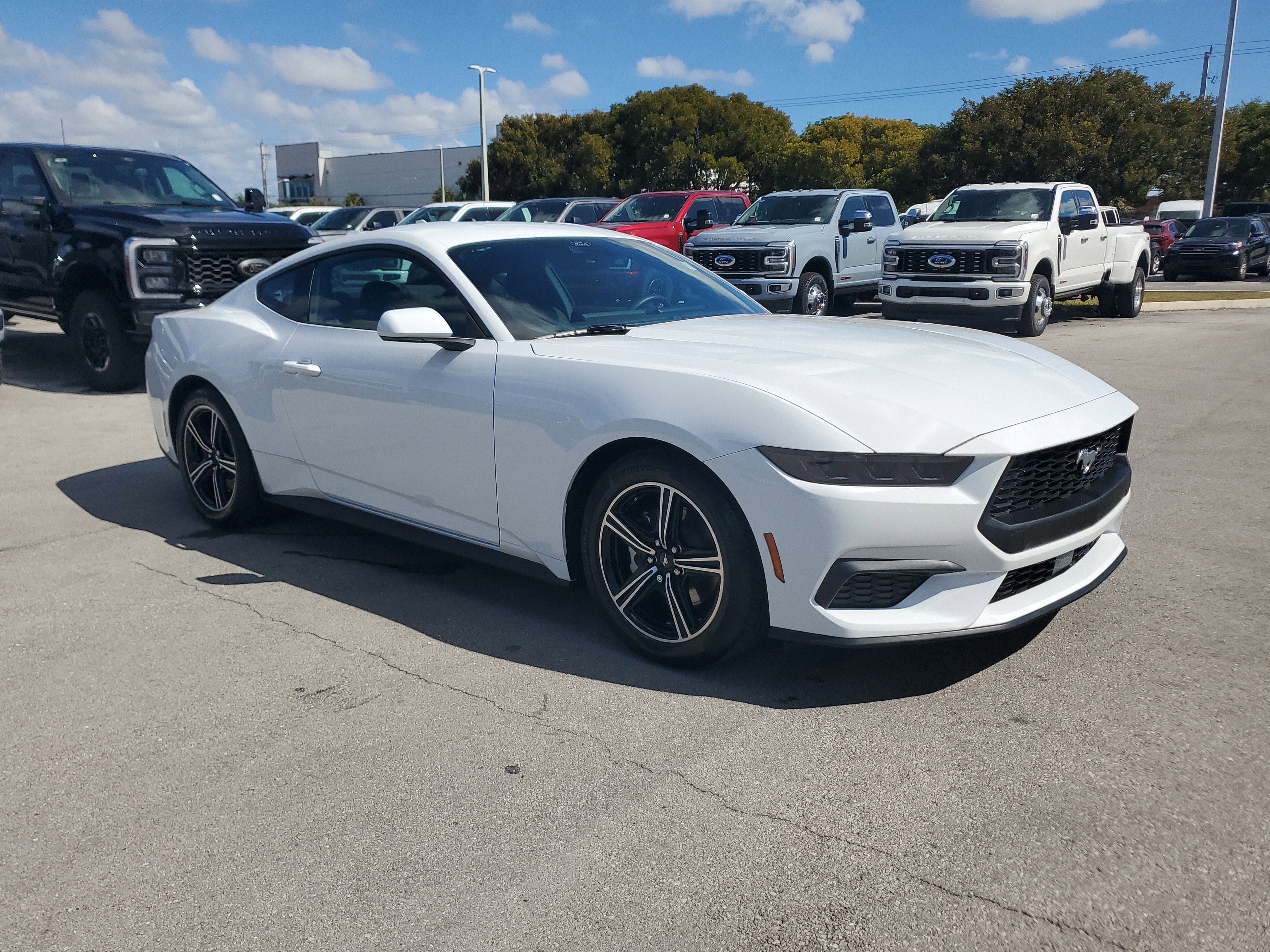 Used 2025 Ford Mustang Coupe image 3