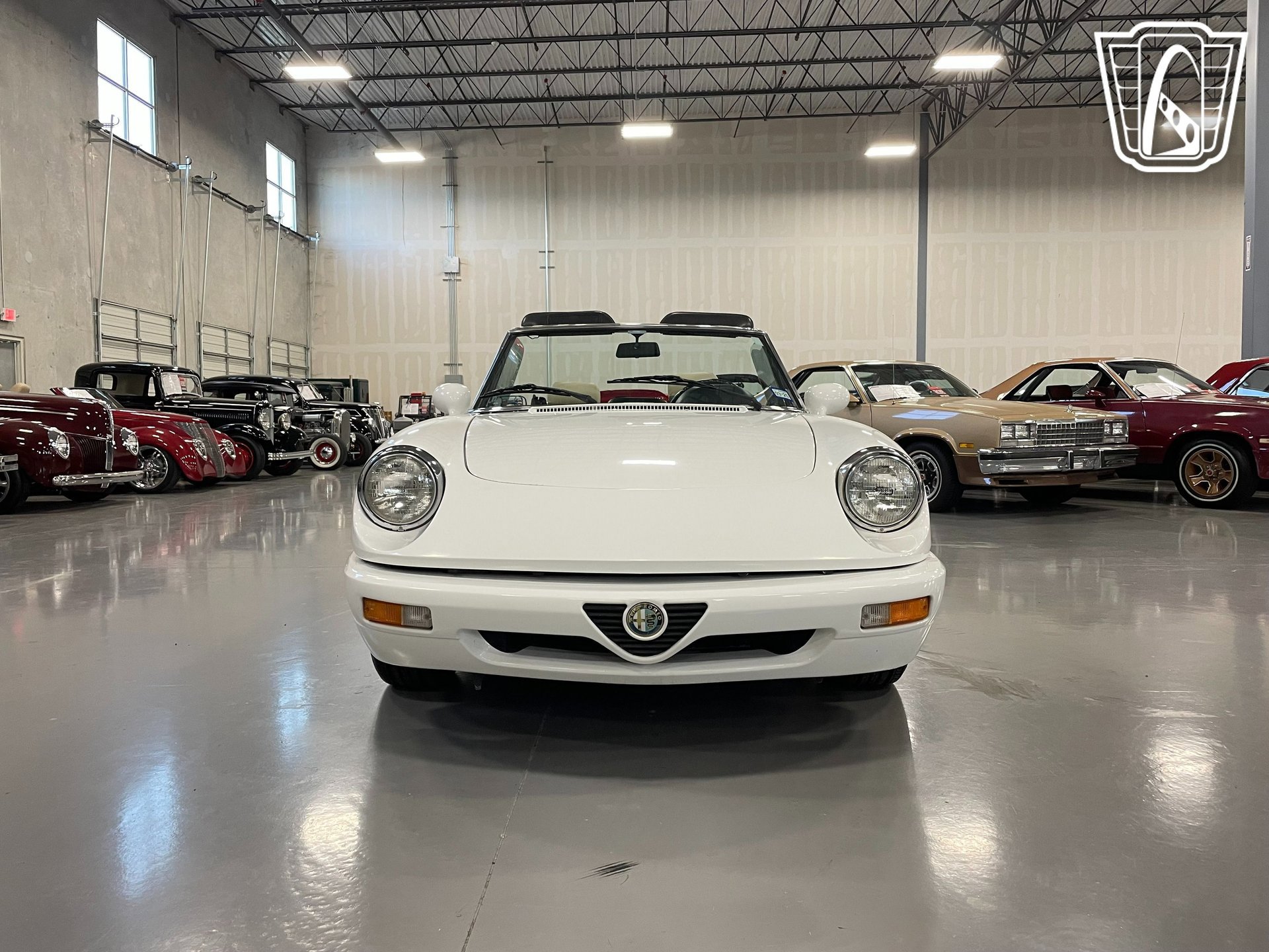 Used 1991 Alfa Romeo Spider Veloce image 5