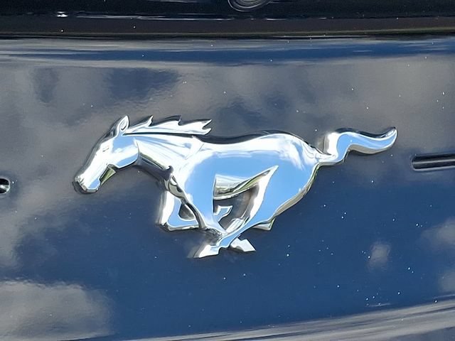 Used 2021 Ford Mustang Coupe RWD image 29