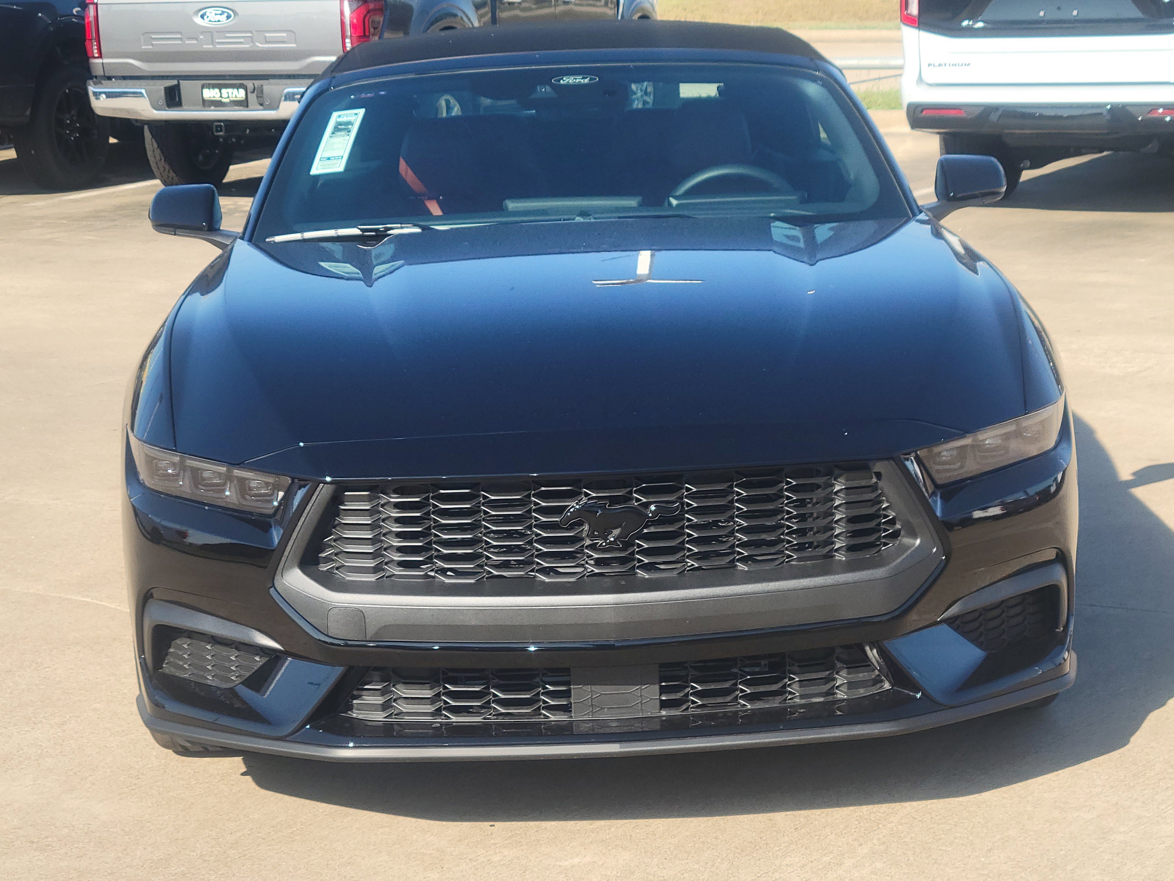 New 2026 Ford Mustang Premium w/ Mustang Nite Pony Package image 7